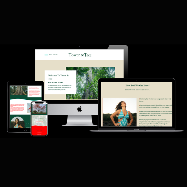 affordable squarespace designer